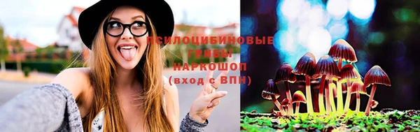 apvp Володарск