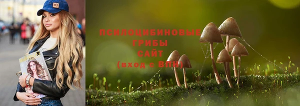 apvp Володарск