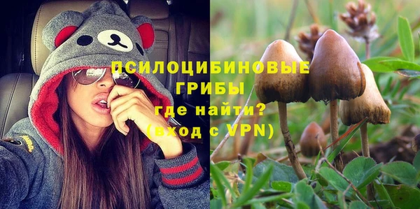 apvp Володарск