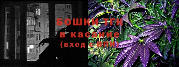 крисы Вязьма
