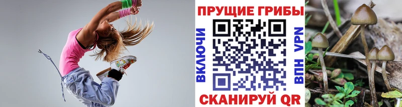 Псилоцибиновые грибы прущие грибы  сколько стоит  Ноябрьск 