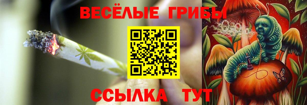 Псилоцибиновые грибы мухоморы  Псилоцибиновые грибы ЛСД  Вход с VPN  Ноябрьск 